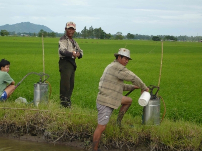 Sống vô tư với thuốc trừ sâu !